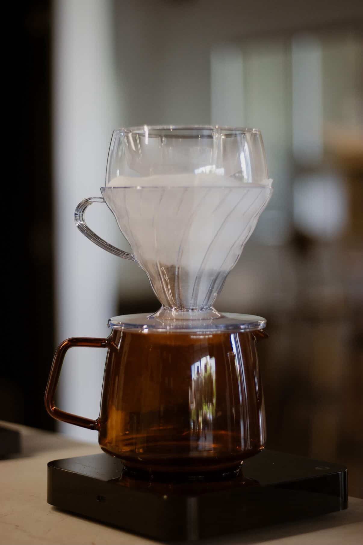 Hario V60 Drip-Assist